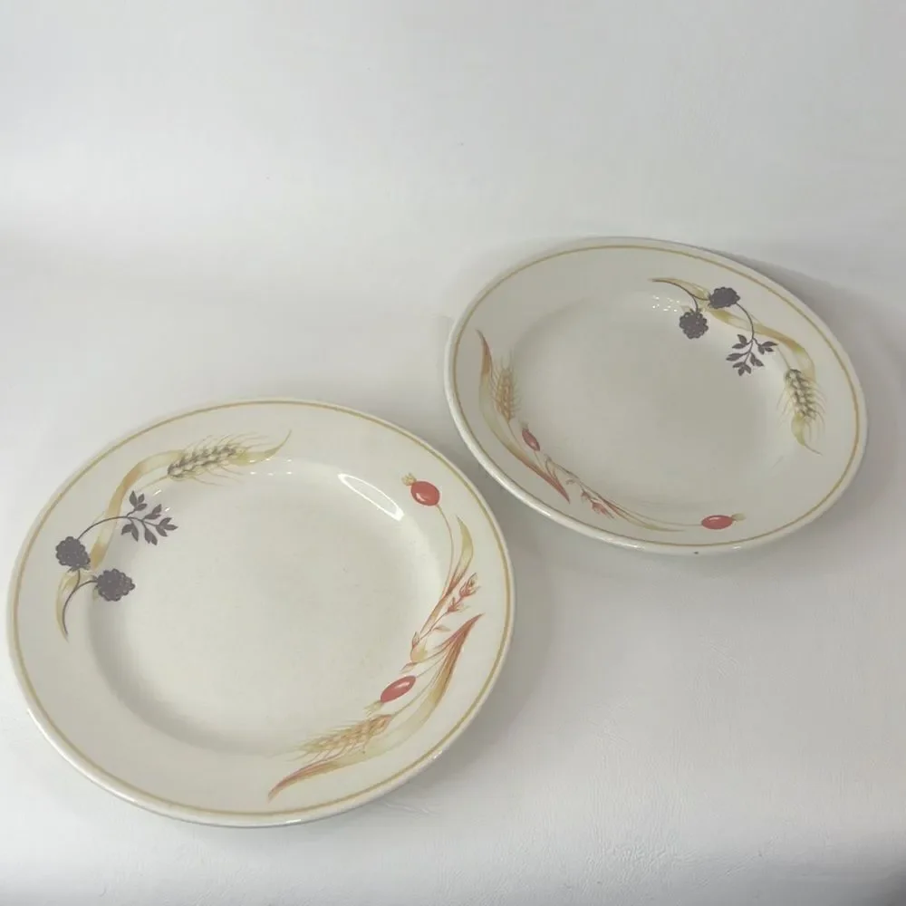 Churchill Bramble Side Plate 6 1/2 In  Each Faye Fine English Tableware Set 2